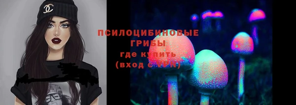 прущие крисы Абинск