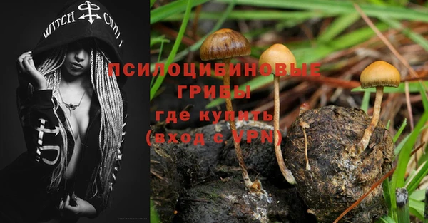 гашик Медвежьегорск