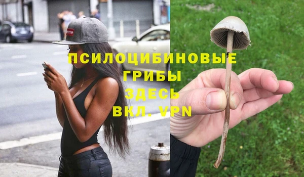 соль ск Абдулино