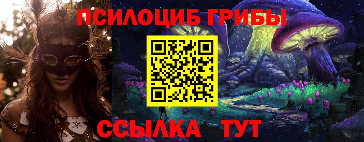 Псилоцибиновые грибы Cubensis  Вход с VPN  Чебаркуль 